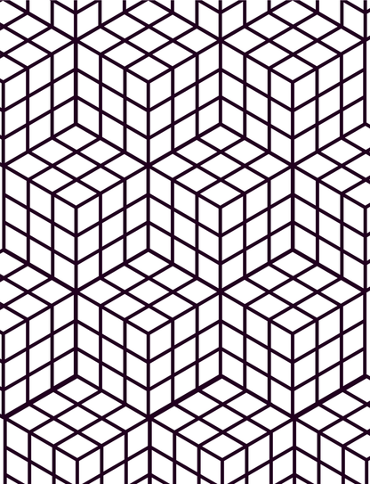 SATISFYING PATTERNS COLORING BOOK FOR RELAXING MOMENTS