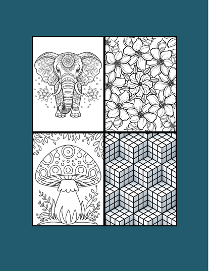 SATISFYING PATTERNS COLORING BOOK FOR RELAXING MOMENTS